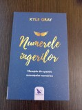 Kyle Gray - Numerele ingerilor