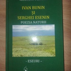 Ivan Bunin si Serghei Esenin- Alexandru G. Serban