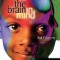 Teaching with the Brain in Mind