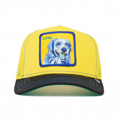 Sapca Goorin Brothers Trucker Doggy Trip Galben- Cod 77564424