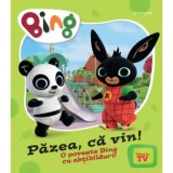 O poveste Bing cu abtibilturi, Pazea, ca vin