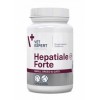 Hepatiale Forte pentru caini si pisici - Supliment hepatic regenerant - 40 capsule