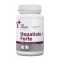 Hepatiale Forte pentru caini si pisici - Supliment hepatic regenerant - 40 capsule