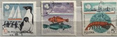 (B ) Timbre serii Straine tema Animale Polonia