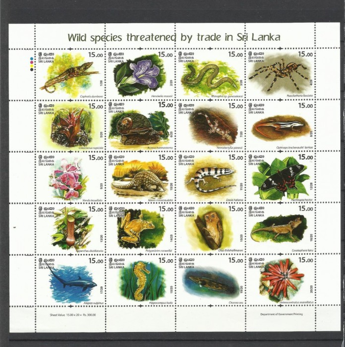 SRI LANKA 2020 FAUNA SI FLORA