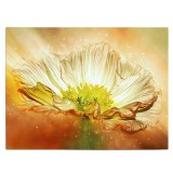 Tablou canvas floare anemona fantezie in nuante de galben, portocaliu, verde 1084 Tablou canvas pe panza CU RAMA 70x100 cm