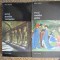 Arta Occidentului (2 volume) &ndash; Henri Focillon