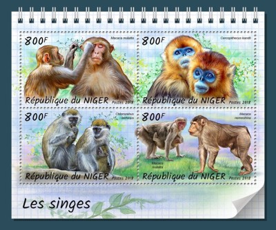 NIGER 2018 - Maimute /set complet-bloc + colita MNH (2 imagini) foto