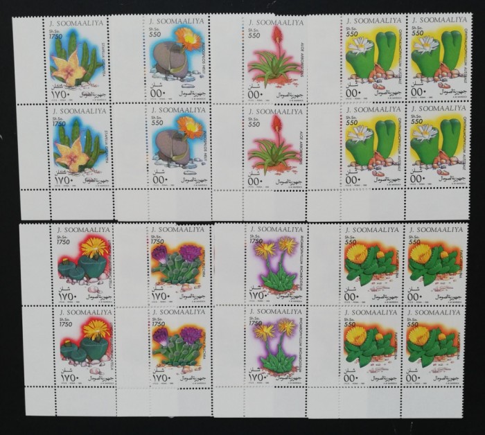 SOMALIA-1995-CACTUSII-4 X Serie 8 V. MNH**SOM 145A