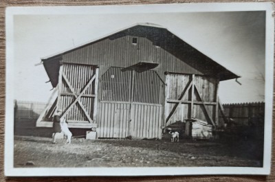Hambar, Romania interbelica// fotografie foto