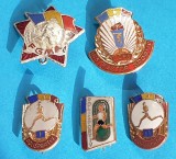 Insigna email la cald Lot x 5 bucati Sport - Competitii sportive - anii 1970