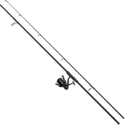 Combo DAM Charger Carp 10FT 5000FD, 0.40mm/470m, 3.00lbs, 3.00m, 2seg foto