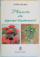 PLANTE DE APARTAMENT , 1998 foto