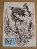 C12 - maxima Romania - tematica fluturi 1 - prima zi a emisiunii sau expozitii, Romania de la 1950, Fauna
