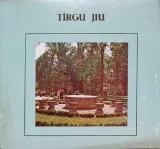 Targu Jiu - Ion Mocioi - Ghid Turistic 1988, Editura Sport-Turism, Geografie Romania