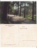 Slanic Moldova ( Bacau)- In padure