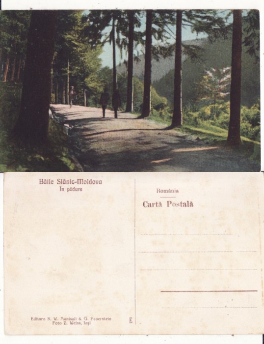 Slanic Moldova ( Bacau)- In padure
