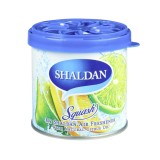 My Shaldan Squash