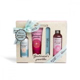 Set pentru ingrijire zilnica Gourmand&#039;s Favourites, IDC Institute
