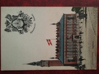 C.P.necirculata-Kopenhaga foto