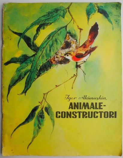 Animale-constructori &ndash; Igor Akimuskin