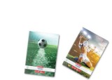 Caiet a4 80f patratele fotbal
