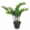 Planta artificiala verde in ghiveci cu cu 114 frunze ? 66 cm x 64 h Elegant DecoLux