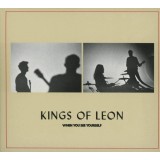 Kings Of Leon When You See Yourself LP (2vinyl)