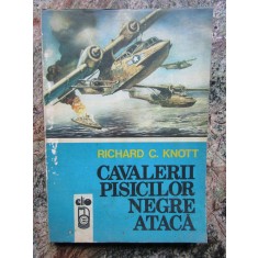 Richard C. Knott - Cavalerii pisicilor negre ataca