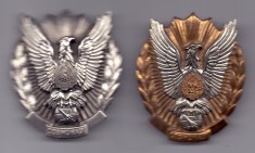 Insigna cosmonaut model mare,ambele variante RRRR foto