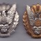 Insigna cosmonaut model mare,ambele variante RRRR