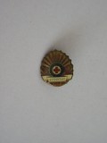 QW9 J 65 - Insigna - tematica medicina - Crucea rosie a RSR - Evidentiat - Mica, Romania de la 1950