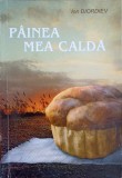 P&acirc;inea Mea Caldă - Ion Diordiev, Roman, Editura Chișinău, 2010, 180 pagini, Beletristică Rom&acirc;nă