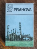 Monografie vintage - Judetul Prahova 1981 / R2P3S