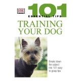 Training Your Dog