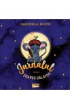 Cumpara ieftin Jurnalul unui soarec calator - Gabriela Boicu