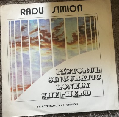 Vinil 2 Vinyl Electrecord Radu Simion foto