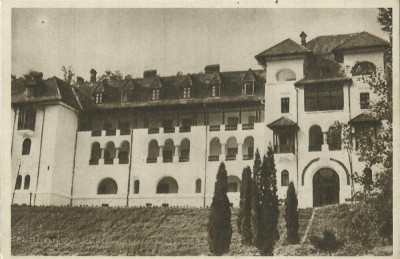 AMS# - VEDERE GOVORA - CASA DE ODIHNA &amp;bdquo;1MAI&amp;rdquo; RPR SEPIA NECIRCULATA foto