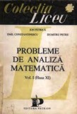 Ion Petrica Emil Constantinescu-Probleme de analiza matematica cl a Xi-a (vol.1)