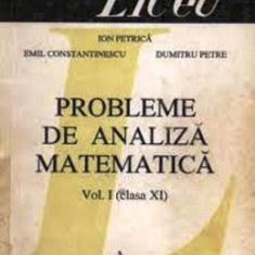 Ion Petrica Emil Constantinescu-Probleme de analiza matematica cl a Xi-a (vol.1)