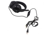 Căşti cu Microfon USB și Jack 3,5mm Negre 2m