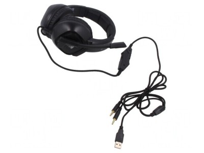 Căşti cu Microfon USB și Jack 3,5mm Negre 2m foto