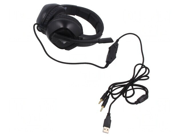 Căşti cu Microfon USB și Jack 3,5mm Negre 2m