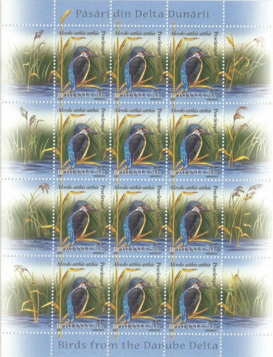 Rom&acirc;nia, LP 1827/2009, Păsări din Delta Dunării, minicoli, MNH