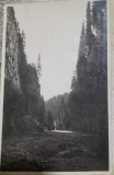 Carte postala, Sinaia, Cheile Zanoaga Mica, perioada interbelica