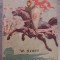 myh 43s - Walter Scott - Ivanhoe - cu ilustrate colorate - ed 1955