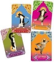 Cat Yoga Postcards foto