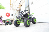 ATV KXD WARRIOR 00, Argo