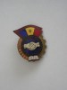 QW9 K 95 - Insigna tematica sindicate - Al IV-lea congres al sindicatelor - RPR, Romania de la 1950