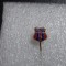 Insigna Steaua